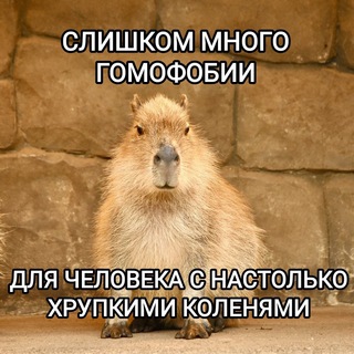 Логотип телеграм канала @daktotamhrustit — хруст коленей 🎙️