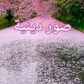 Telegram channel ♡♡صور دينية♡♡ logo