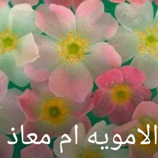 لوگوی کانال تلگرام dal5er — 📒الدال على الخير كفاعله📒