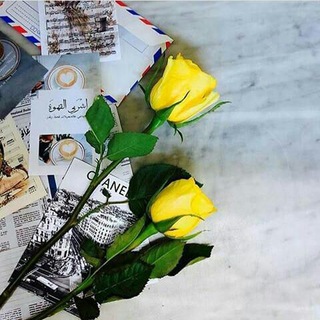 لوگوی کانال تلگرام daliaeez — خربشــة قلـــم ²5