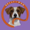 Logo of telegram channel dallidogamun — DalliDog
