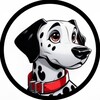 Logo of telegram channel dalmatian_volt — 𝑩𝑳𝑨𝑪𝑲 & 𝑾𝑯𝑰𝑻𝑬