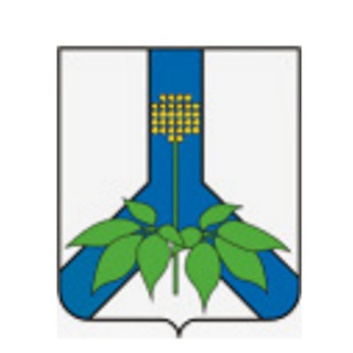Логотип телеграм канала @dalmdrru — Администрация Дальнереченского муниципального района