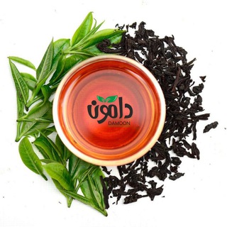 لوگوی کانال تلگرام damoon_tea2 — 🍃 مرسولات چای دامون لاهیجان🍃