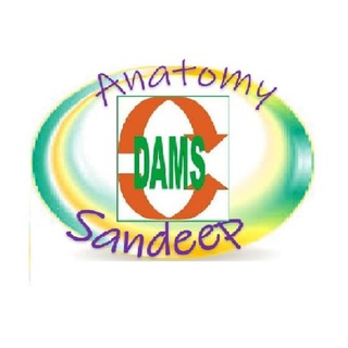 Logo of telegram channel damsanatomy — Dr. Sandeep Anatomy(Dams) Channel