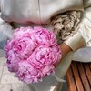 Telegram арнасының логотипі danassadykovaaa — danassadykova