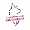 Логотип телеграм канала @danceschoolexperiment — ЭКСПЕРИМЕНТаторы