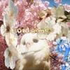 Логотип телеграм канала @dandy_world_lov — [ПЕРЕЕЗД]🐚 ꒰ Owl game.𖹭