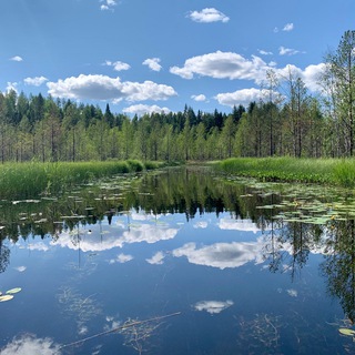 Логотип телеграм канала @danekate_kenozero — #DaneKate Кенозерье