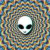 Logo of telegram channel dankdeliverys — Trippy Zone Exotics 💥💥