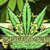 Logo of telegram channel dankmakertoficialuk — Topshelf uk and Cali bud🇬🇧🇺🇸📈