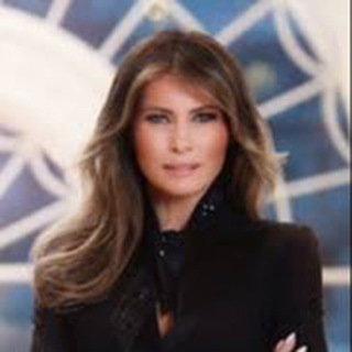 Logo saluran telegram danscavino_channel — Melania is not