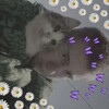 Логотип телеграм канала @danyaquas — даня лол.