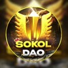 Логотип телеграм канала @dao_darks777 — Sokol Agency
