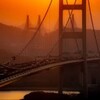 电报频道的标志 daohaoqqdy — 盗邮箱/网页/微博/远控/QQ盗号