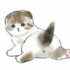Логотип телеграм канала @dapopki — Попки животных
