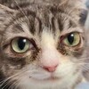 Логотип телеграм канала @daprostomem — да прост мемы