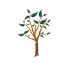 Логотип телеграм канала @dara_na_vce100 — Саженцы растений .🌸🫐🌺☘️🌱