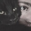 Логотип телеграм канала @daravalllll — daraaaval🐈‍⬛