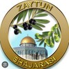 Telegram channel Zaytun daraxtimiz logo