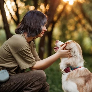 Telegram channel ✨Логово комфортных🐾 logo