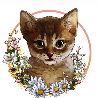 Логотип телеграм канала @dari_dobro_cat — Dari_dobro_cat