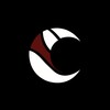 Logo of telegram channel dark_n1ghts — DARK NIGHTS ESPORTS