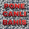 Telegram kanalının logosu darkcanlibahis — 🍀 CANLI BAHİS🍀
