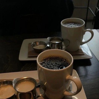 Логотип телеграм канала @darkgreentea — – Green tea with dark academy