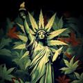 Logo saluran telegram darking_psy — DarKing_psy🗽