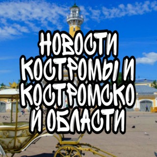 Логотип телеграм канала @darkkostroma — Новости Костромы