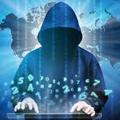 Logo des Telegrammkanals darknet_mrkt24 - Darknet mrkt