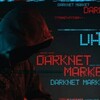 Logo of telegram channel darknetmarketplaceb2b — Dark Net Market Place