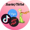 Логотип телеграм канала @darkpr1ncee — LittlePr1nce (SCARLET / IOS / IPA)