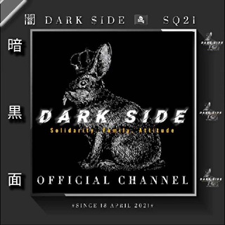Logo saluran telegram darksidedarks — 𝐎𝐅𝐂.𝐃𝐀𝐑𝐊 $𝐈𝐃𝐄 🏴‍☠️ #𝐂𝐇