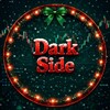 Logo of telegram channel darksidetradrs — Dark Side Trade