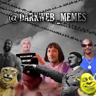لوگوی کانال تلگرام darkweb_mems — darkweb mems | دارک وب میمز