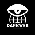 Logotipo del canal de telegramas darkweb6979 - DarkWeb