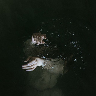 Логотип телеграм канала @darkwildness — Dark Aesthetic