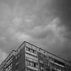 Логотип телеграм канала @darkwingsovervyborgskiydistrict — Тёмные крылья в ледяных коридорах