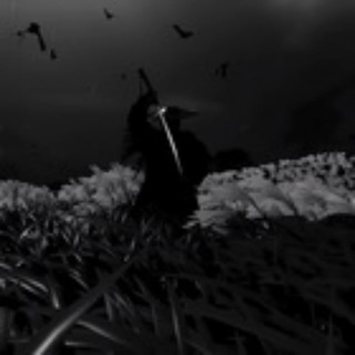 Логотип телеграм канала @darkworld_icon — Полезности для родителей