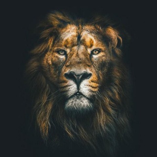 Логотип телеграм канала @darline_patriotin_19 — 1darline_patriotin_19