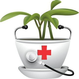 لوگوی کانال تلگرام darokhane_giyahi — داروخانه گیاهی