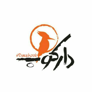 لوگوی کانال تلگرام darrkoob — دارکوب
