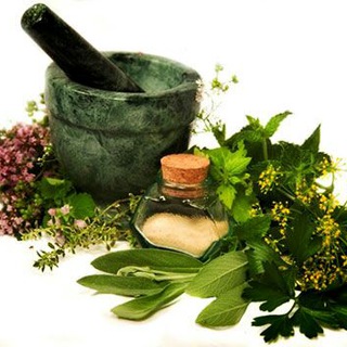 لوگوی کانال تلگرام daru_srusht — دارو گیاهی سروشت