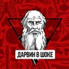 Логотип телеграм канала @darvin_v_shoke — Дарвин в шоке