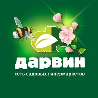 Логотип телеграм канала @darvinmarketru — Дарвин