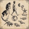Telegram арнасының логотипі darvinte — Дарвин теориясы