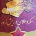 لوگوی کانال تلگرام darvishzadehcoinandgold — سکه و طلای درویش‌زاده