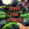 Логотип телеграм канала @dasaog — 🏡Дача, сад, огород🌳l календарь садовода и огородника